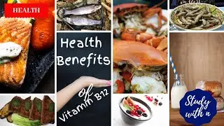 Health Benefits of Vitamin B12