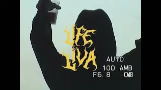 LIFE LIVA FLIM