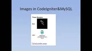 19 Imagini in CodeIgniter&MySQL