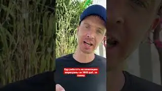 Хитрые иностранные работодатели.
