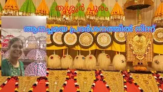 തൃശ്ശൂർ പൂരത്തിന്റെ ആനച്ചമയ പ്രദർശനത്തിനു പോയപ്പോൾ | | Thrissur pooram 2023 chamayam | | vlog