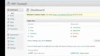 Wordpress Overview