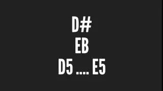 D5 Sharp & E5 Flat