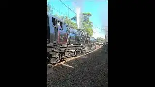 Steamfest Flyer overtakes the Garratt 6029. #steamlocomotive #steam