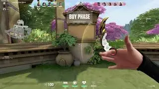 Valorant community in a nutshell