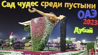 172. ОАЭ. Весна 2023. Сад Чудес (Miracle Garden) - 50 миллионов цветов среди пустыни в Дубае!!!