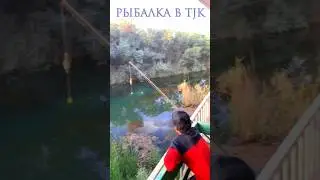 #рыбалка