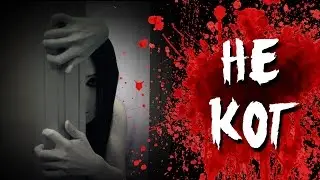 Страшная история на ночь - Не кот