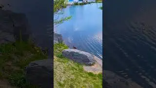 #море #love Матушка Земля Приморский край