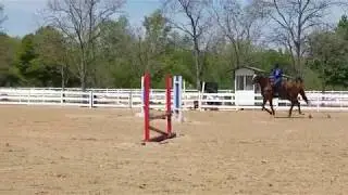 Ima Iny Too - Beginner Novice 4/21/18