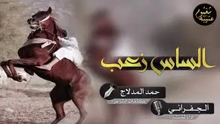 شيلة الساس زعب