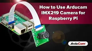 [Tutorial] How to Use Arducam IMX219 Camera for Raspberry Pi