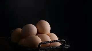 ви знали це про яйця?#shorts #яйце #знай