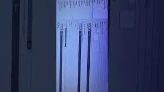 Rhino - How To Show Ground Plane. 