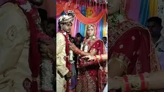 हम हाई पिया जी #shortsviral #shortvideo #shortsfeed #dhamaal_music_world