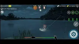чёрный Кайман в игре My Fishing Трофей на 200 кг