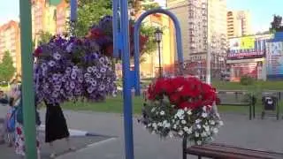 Висячие клумбы на ул Пацаева, г Долгопрудный