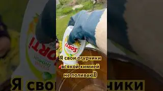 В хозяйстве всё пригодится