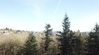 FLIGHT1
