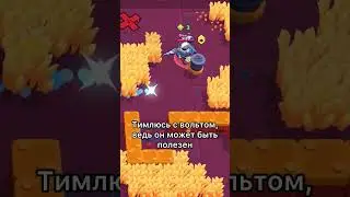 ВОЛЬТ НА 800+ КУБКОВ В СОЛО ШД 