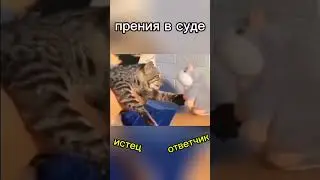 ПРЕНИЯ В СУДЕ