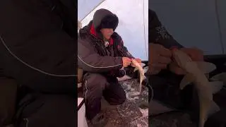 Батя впорол леща на Яузском Водохранилище ! Зима 2024 