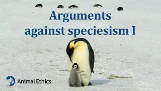 Arguments against speciesism I