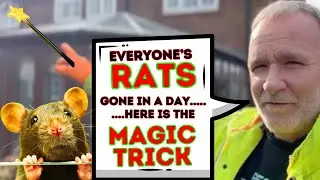 RATS INFEST 4 houses! 4 years of RAT NIGHTMARE....gone in a day...JUST LIKE MAGIC!