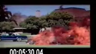 Cat  Rapes  Dog  - Superluminal - CLIP