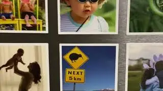 Photo Magnets Kiwi