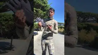 7mm spearfishing gloves for spearfishing California