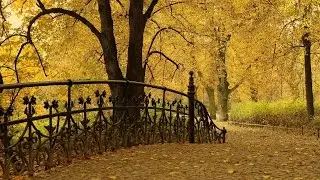 Осенняя грусть   /Autumn sadness .../