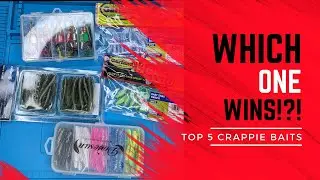 Which one wins? Top 5 Crappie Soft Plastic Baits