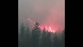 Лесной пожар в национальном парке Ленские столбы Якутия  Пожар в  Якутии