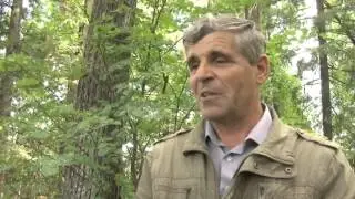 Союз ТВ новости 17 07 15