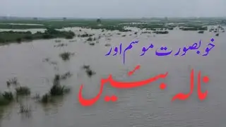 Shakargarh to Nala Baien // Travel with Mr. R