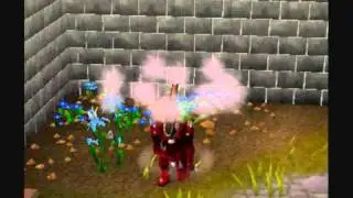 Runescape Glitch 2010