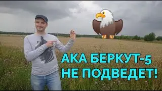 АКА Беркут 5 или металлоискатель для находок!