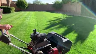 Changing My Cool Season Lawn to a Warm Season Lawn : Step 1
