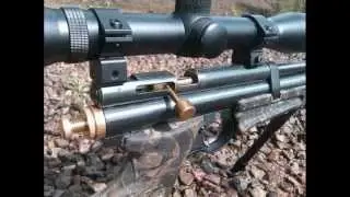 Custom Webley Ratcatcher 2250