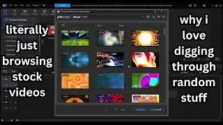 literally just browsing stock videos (why i love digging through random stuff)