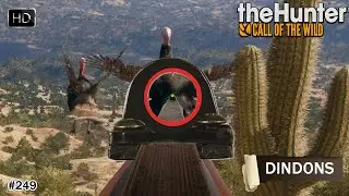 THEHUNTER CALL OF THE WILD #249 UNE CHASSE AUX DINDONS AU CALIBRE 16 SUR LA MAP RANCHO DEL ARROYO !