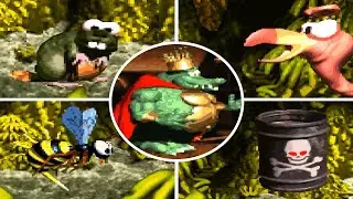 Donkey Kong Country - All Bosses