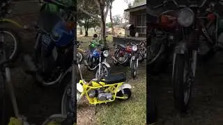Too many motorbikes?