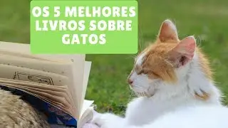 Os 5 Melhores Livros Sobre Gatos Para Ter Um Felino Mais Feliz e Saudavel