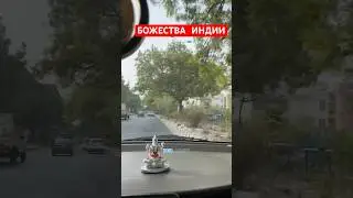 А вы в кого верите? 