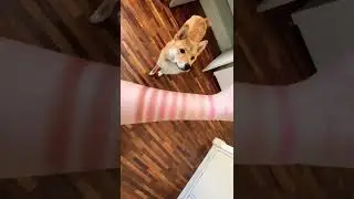 Ela AMA cheirinho de maquiagem 😄