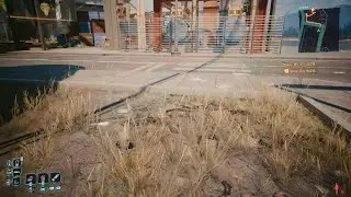 I have never seen this dialogue before in 800 hours of gameplay (