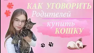 КАК УГОВОРИТЬ РОДИТЕЛЕЙ ЗАВЕСТИ КОТЕНКА??Плюсы кошки||Как НЕЛЬЗЯ просить питомца у родителей?