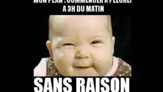 top 10 ( des image les plus droles )